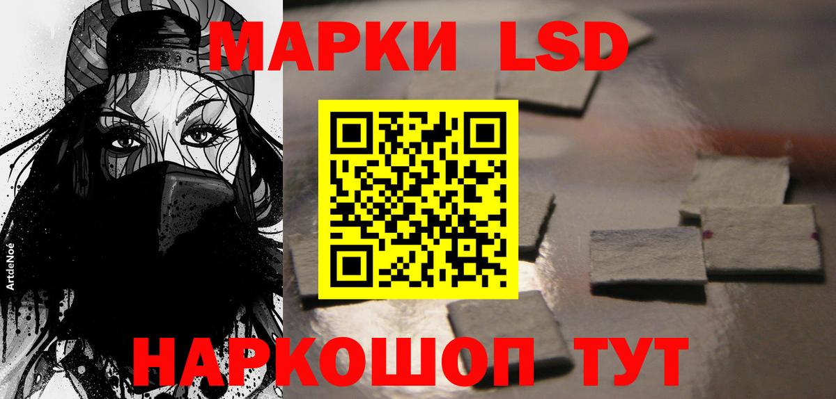 A PVP Курчатов