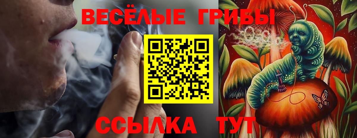 Псилоцибиновые грибы ЛСД  купить наркотик  Курчатов  Вход с VPN 